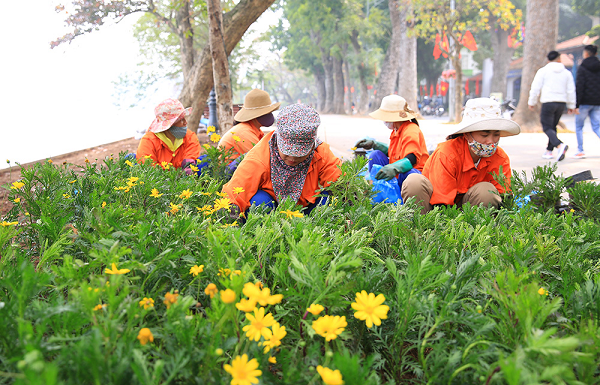 Hà Nội: Gần 50 công viên, vườn hoa sẽ được cải tạo từ nay đến 2025