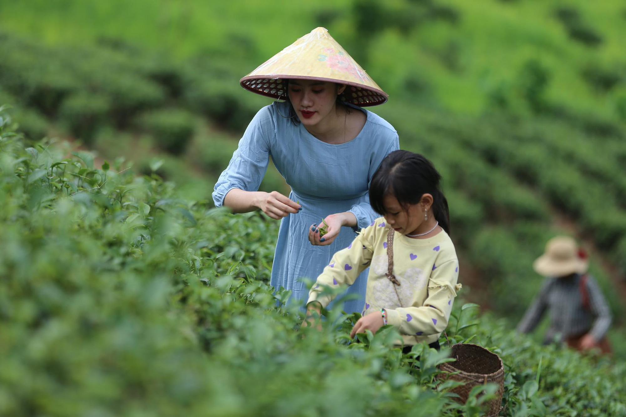 Khai thác tiềm năng du lịch nông thôn