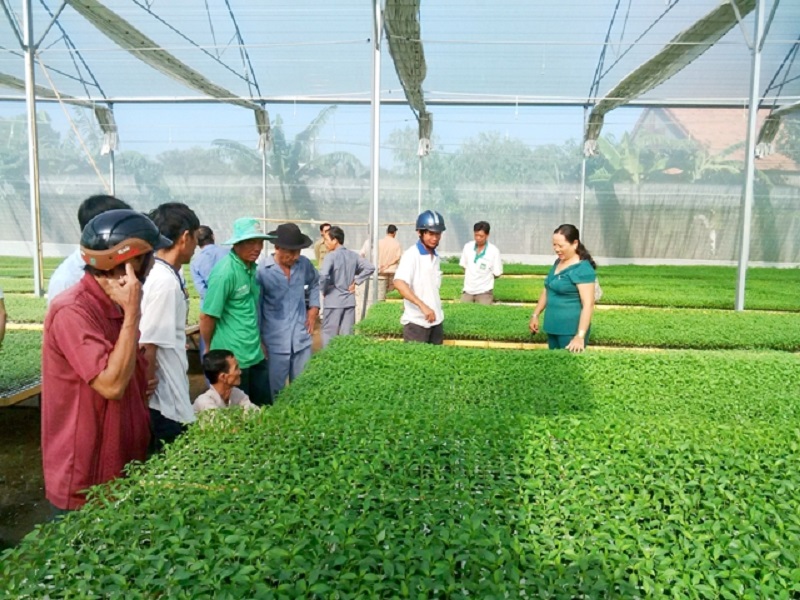 Hà Nội: Bổ sung gần 50 tỷ đồng cho sản xuất nông nghiệp công nghệ cao