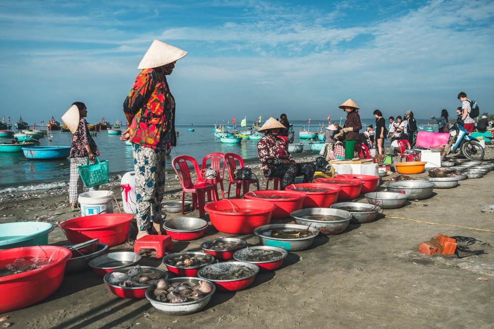 Tìm giải pháp đảm bảo sinh kế cho người dân ven biển