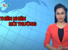 Truyền hình TN-MT (Số 15): Rộn ràng không khí đón Tết...