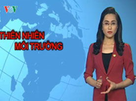 Truyền hình Thiên nhiên - Môi trường (số 16): Đảm bảo vệ sinh môi trường trong mùa lễ hội...
