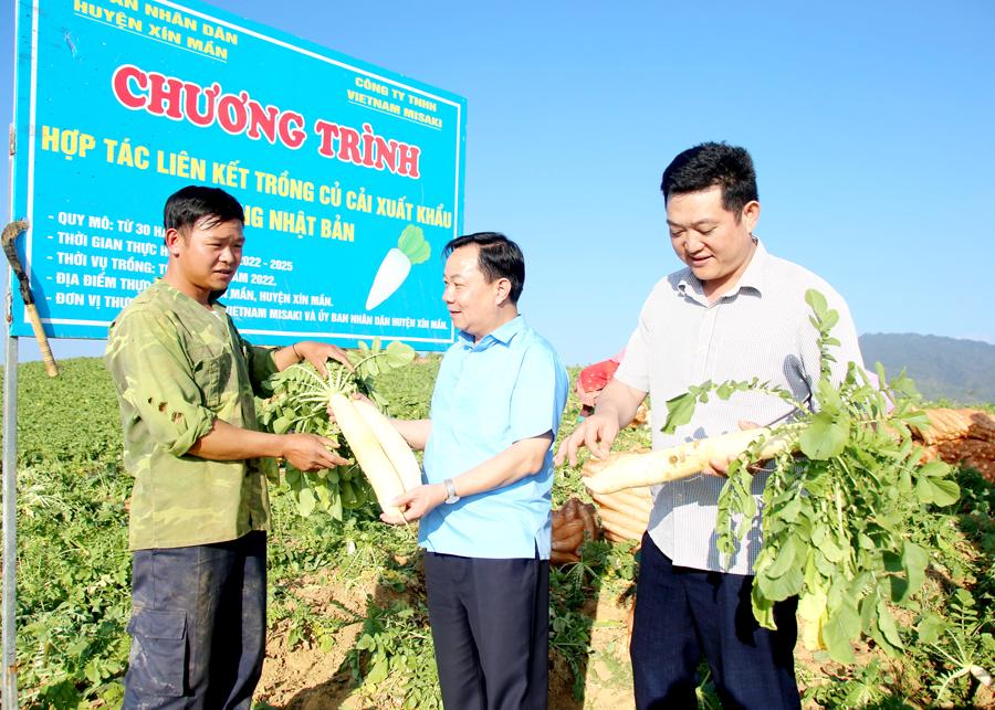 Xín Mần (Hà Giang): Đẩy mạnh liên kết sản xuất nông nghiệp trong xây dựng nông thôn mới