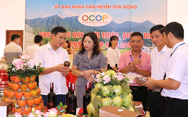 Bắc Giang tập trung nâng cao chất lượng, quảng bá sản phẩm OCOP