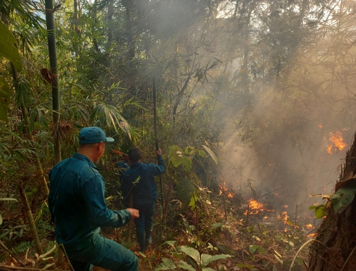 Vạn Ninh (Khánh Hòa): Hơn 2.100ha rừng trồng có nguy cơ cháy cao