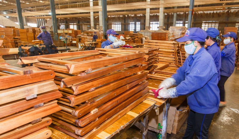 Ngành gỗ Bình Định phấn đấu gia tăng kim ngạch xuất khẩu