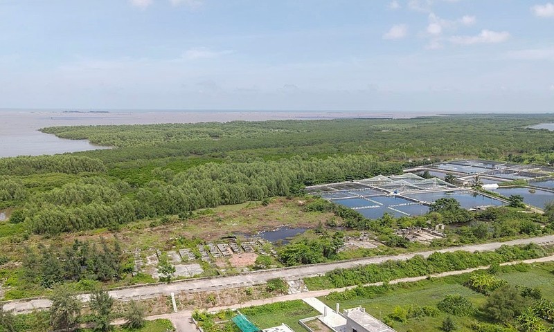 Thái Bình: Giữ nguyên diện tích Khu bảo tồn thiên nhiên đất ngập nước Tiền Hải