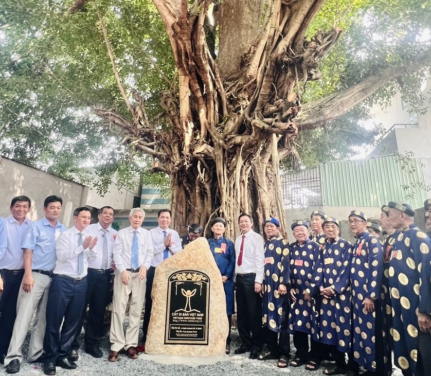 Bình Dương: 3 cây cổ thụ hàng trăm năm tuổi được công nhận Cây Di sản Việt Nam
