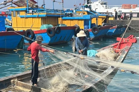 Thanh Hóa: Đẩy mạnh phòng chống khai thác hải sản bất hợp pháp
