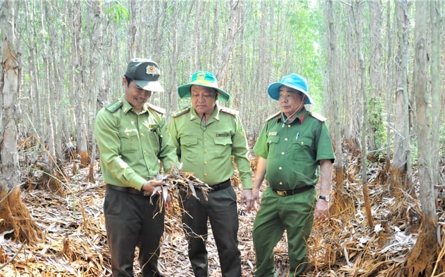 Kiên Giang: Bổ sung hơn 2,5 triệu m3 nước vào rừng để chống cháy