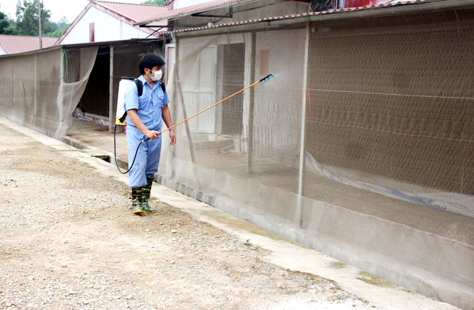 Thái Nguyên: Triển khai tổng vệ sinh khử trùng, tiêu độc môi trường