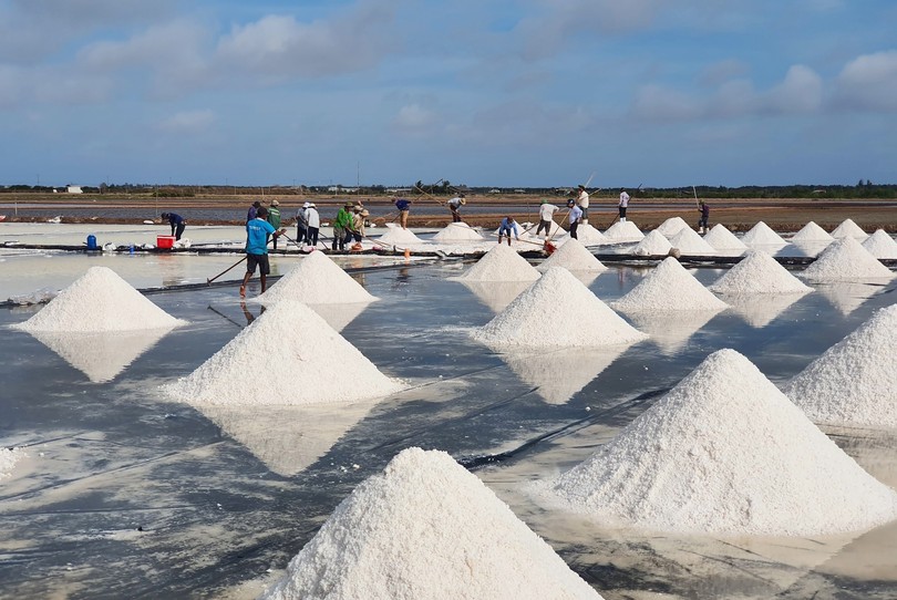 Phát triển ngành muối theo hướng bền vững