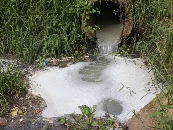 Phú Yên: Doanh nghiệp vi phạm quy định về xả thải ra môi trường