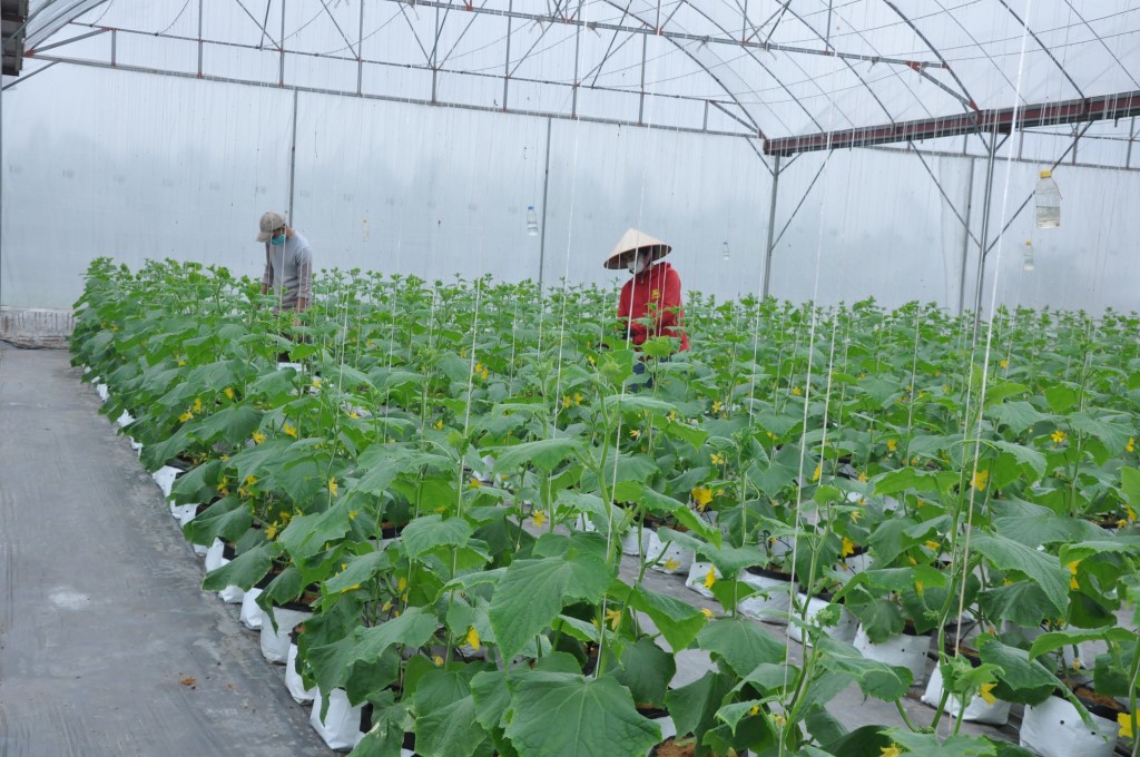 Hưng Yên thúc đẩy chuyển đổi số phát triển nông nghiệp