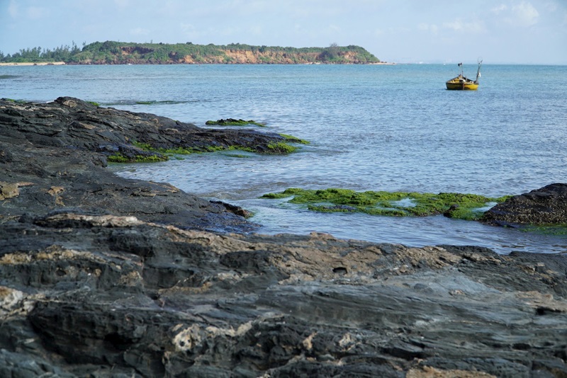 Bảo vệ đa dạng sinh học tại vùng biển Tam Hải