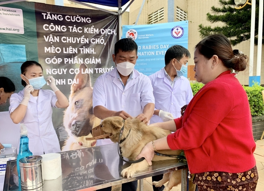 Hà Nội: 10 quận đạt tiêu chuẩn vùng an toàn dịch bệnh dại động vật