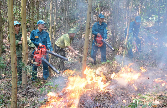 Xây dựng phương án phòng cháy, chữa cháy rừng cấp quốc gia