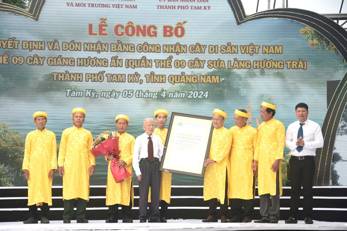 Tam Kỳ (Quảng Nam): Đón Bằng công nhận Cây Di sản Việt Nam đối với quần thể 9 cây sưa cổ thụ