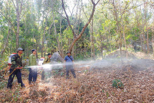 Hậu Giang: Nâng mức cảnh báo cháy rừng lên cấp nguy hiểm