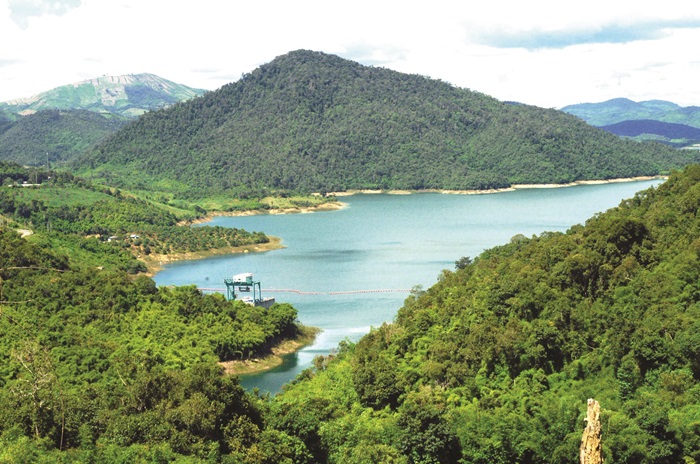 Bình Thuận phát huy hiệu quả chính sách chi trả dịch vụ môi trường rừng