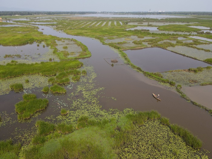Phục hồi hệ sinh thái, đa dạng sinh học sông Đầm