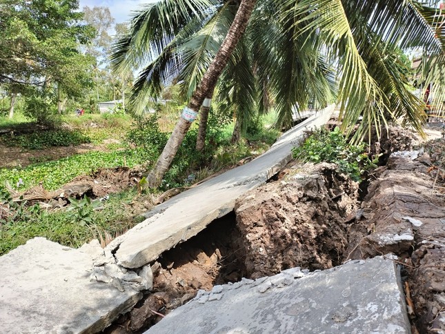 Báo động tình trạng sụt lún, sạt lở nghiêm trọng tại vùng ngọt hóa Cà Mau