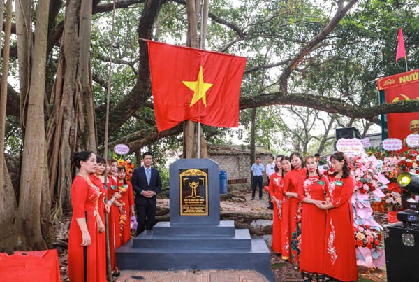 Hải Dương: Nhiều cây cổ thụ được công nhận Cây Di sản Việt Nam