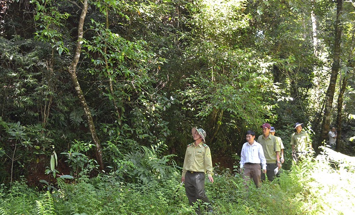 Bình Phước chú trọng bảo vệ diện tích rừng tự nhiên