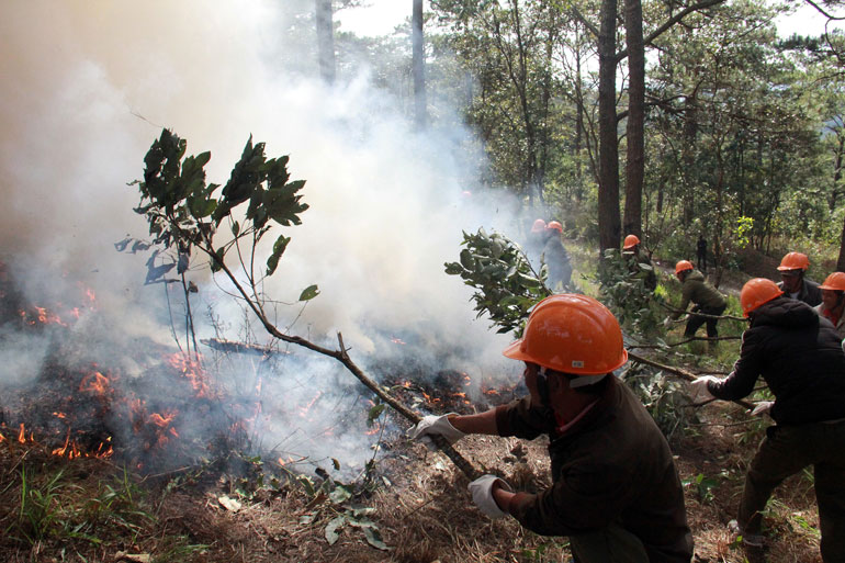Lâm Đồng linh hoạt phương án ứng phó cháy rừng mùa khô