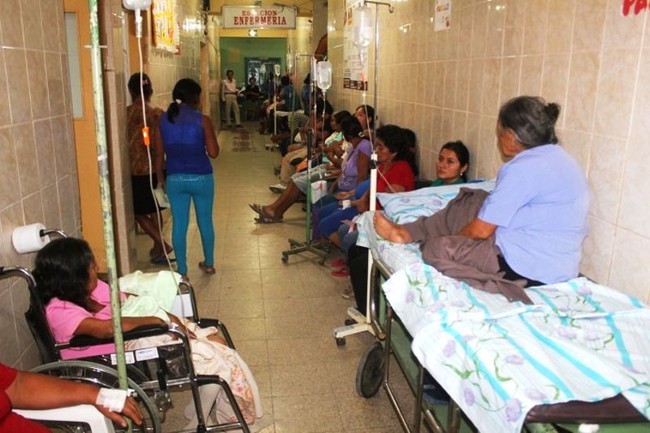 Peru ban bố tình trạng khẩn cấp về y tế do dịch sốt xuất huyết