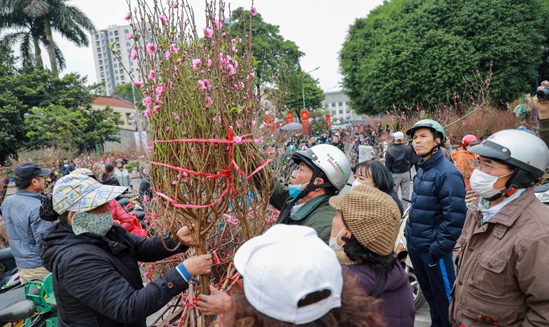 Tin thời tiết ngày 9/2: Bắc Bộ rét đậm, có nơi dưới 7 độ C