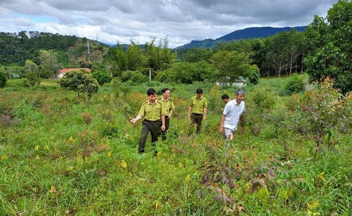 Kon Tum chú trọng công tác quản lý, bảo vệ phát triển rừng