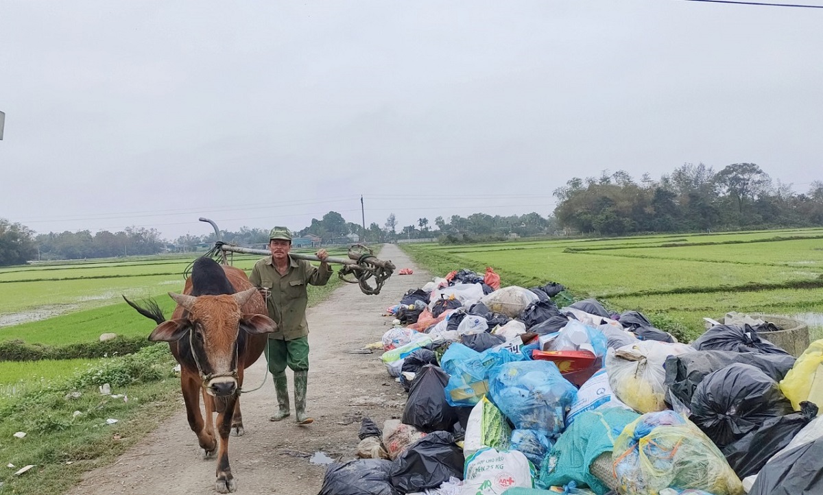 [Photo Story] Hà Tĩnh: Nguy cơ ô nhiễm môi trường do rác thải không được xử lý kịp thời