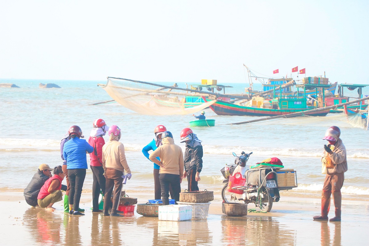 [Photo Story] Ngư dân Hà Tĩnh được mùa cá cơm đầu năm