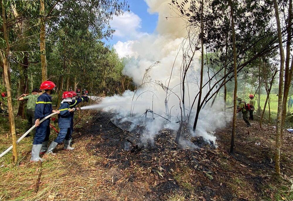 Chủ động phương án phòng, chống cháy rừng trong cao điểm mùa khô