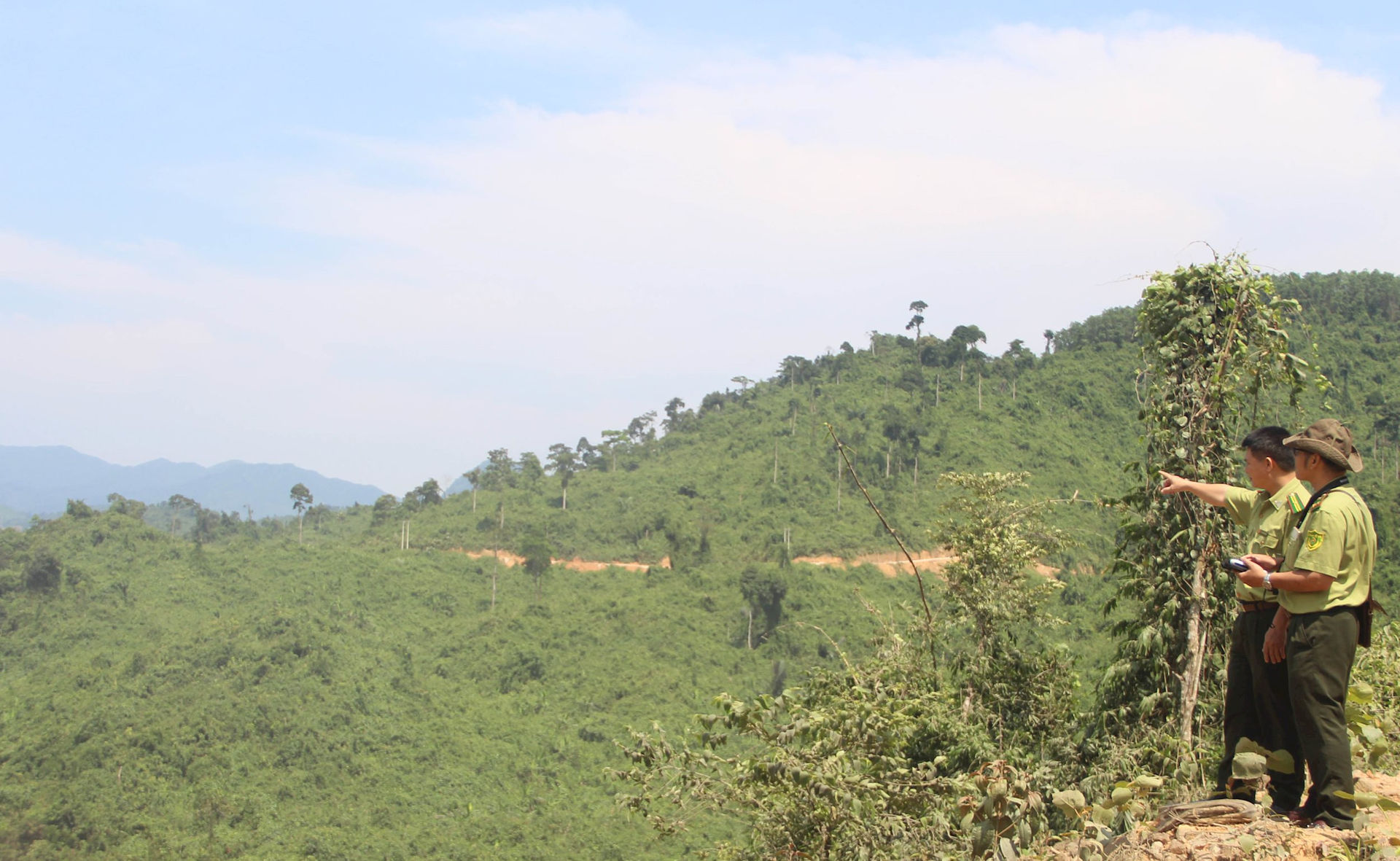Quảng Bình: Tăng cường công tác bảo vệ rừng, đất lâm nghiệp