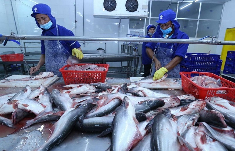 Gia tăng thị phần xuất khẩu cá tra tại các thị trường khu vực ASEAN