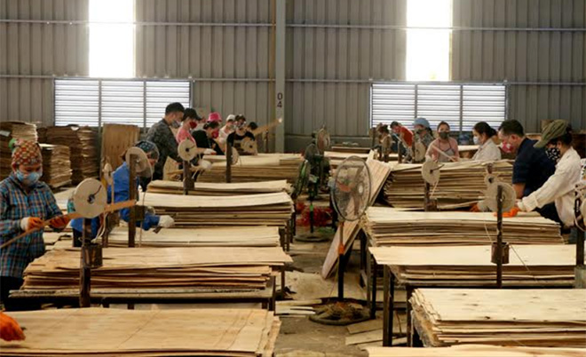 Chú trọng phát triển công nghiệp chế biến gỗ