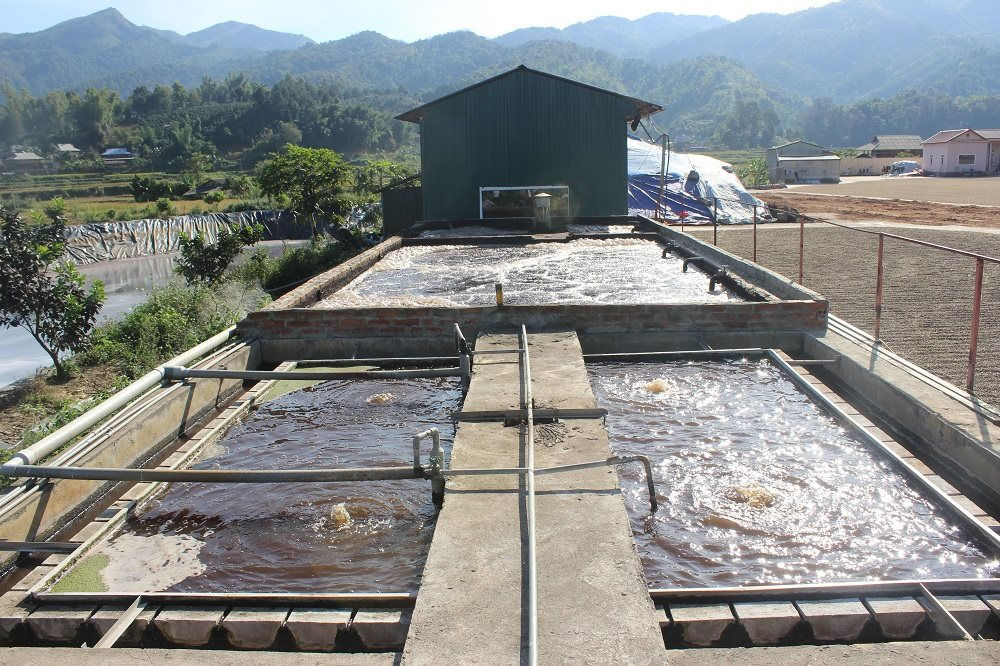 Hạn chế ô nhiễm nguồn nước trong niên vụ thu hoạch, chế biến cà phê