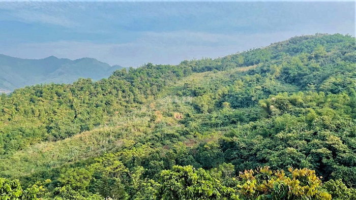 Nghiên cứu thành lập Khu sinh cảnh và phát triển rừng phòng hộ
