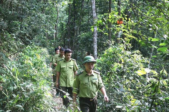 Ứng dụng công nghệ thông tin trong công tác quản lý, bảo vệ rừng