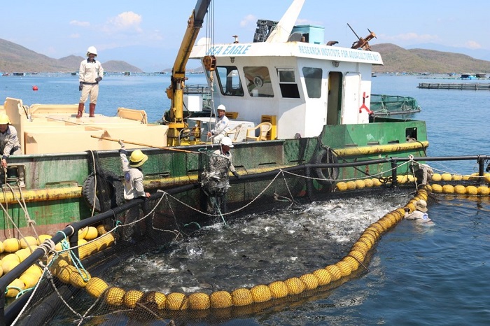 Đẩy mạnh ứng dụng công nghệ cao trong phát triển nghề nuôi biển