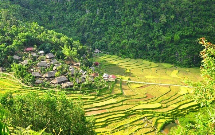 Phát triển du lịch sinh thái tại Khu bảo tồn thiên nhiên Pù Luông