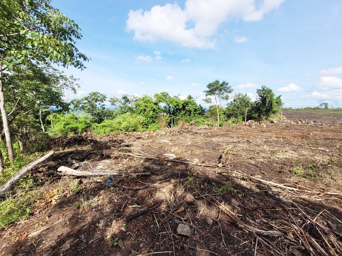 Khẩn trương điều tra vụ phá 6 ha rừng tự nhiên làm rẫy