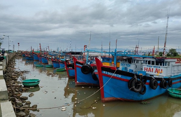 Khẩn trương kêu gọi tàu thuyền ra khỏi vùng nguy hiểm của bão Chaba