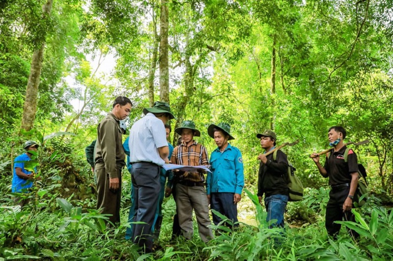 Đẩy mạnh các biện pháp quản lý bảo vệ rừng hiệu quả