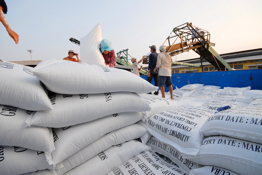 Gạo Việt Nam mở rộng xuất khẩu tại nhiều thị trường
