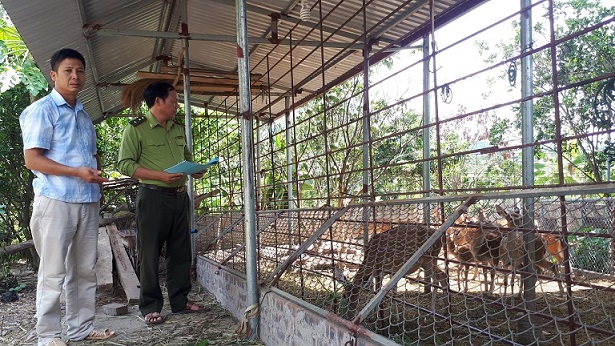 Tăng cường giám sát hoạt động gây nuôi thương mại động vật hoang dã