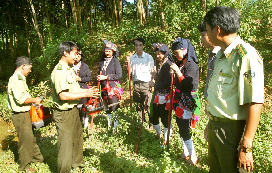 Chủ động phối hợp quản lý, bảo vệ diện tích rừng giáp ranh