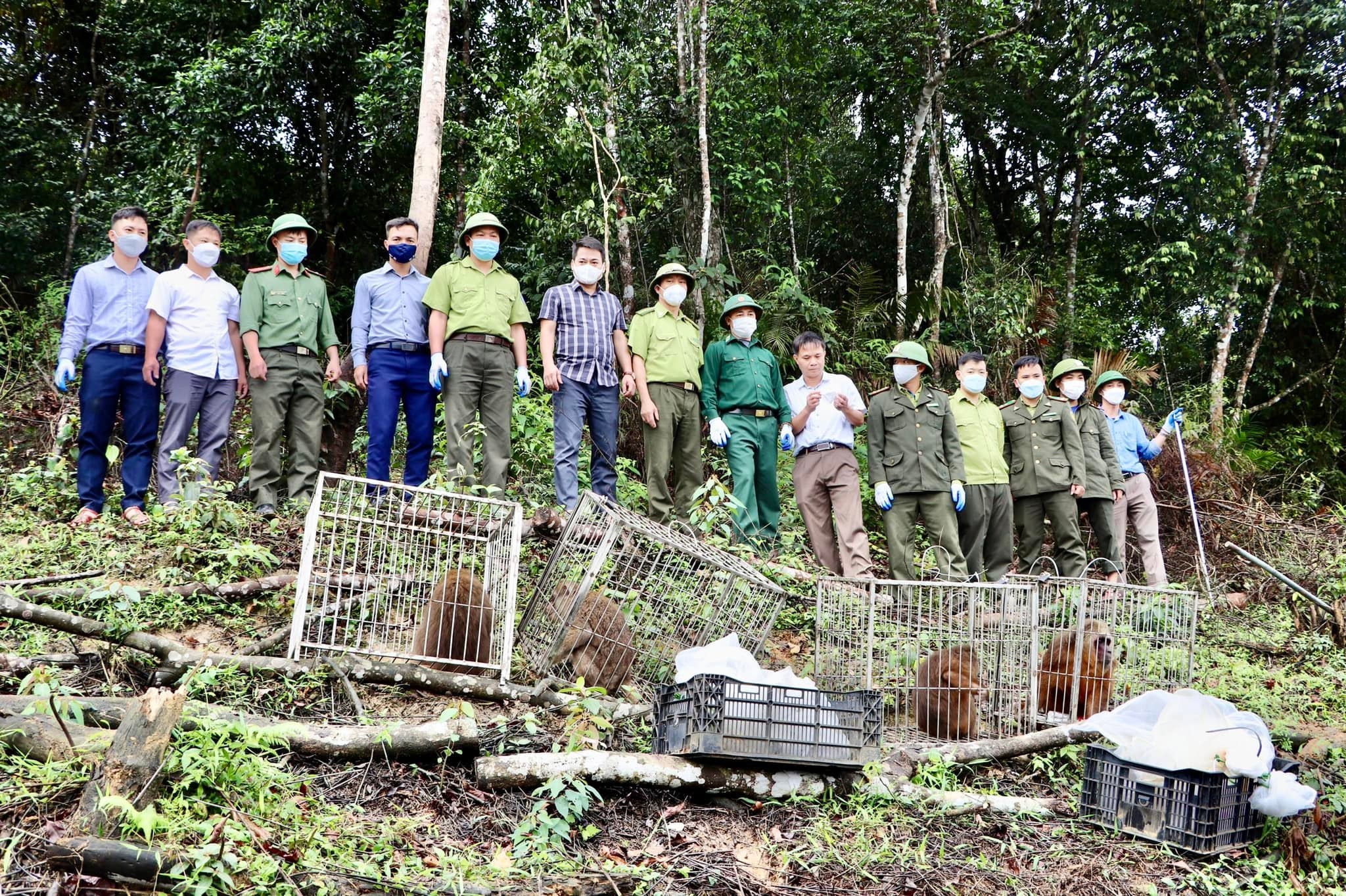 Vườn quốc gia Vũ Quang tái thả động vật hoang dã về môi trường tự nhiên
